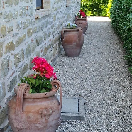 住宿加早餐酒店 La Mela Rosa Amandola